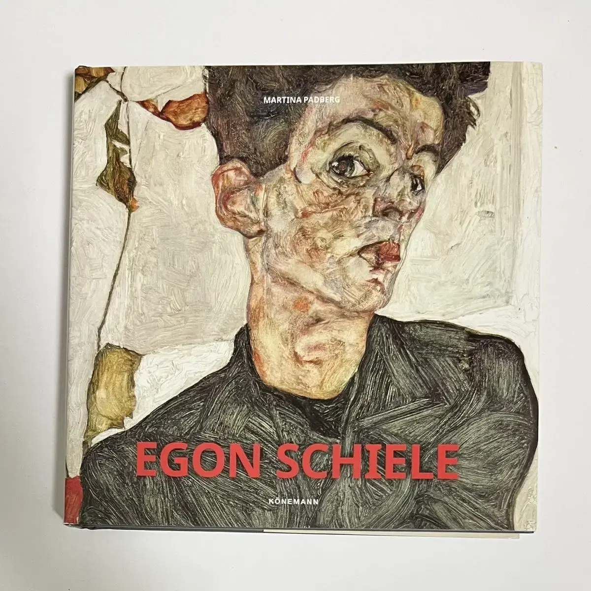 egon schiele masterpieces books books art art art