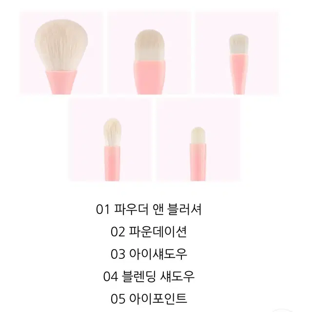 코링코 에그 홀더 브러쉬 세트 5pcs