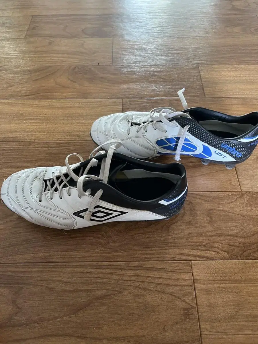 Neighborhood Soccer 1Chan Umbro Soccer Shoes275