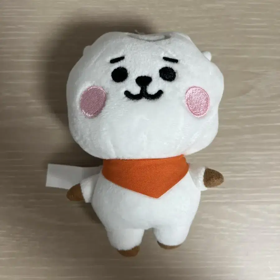 방탄소년단 BTS BT21 RJ 알제이 가방고리 인형