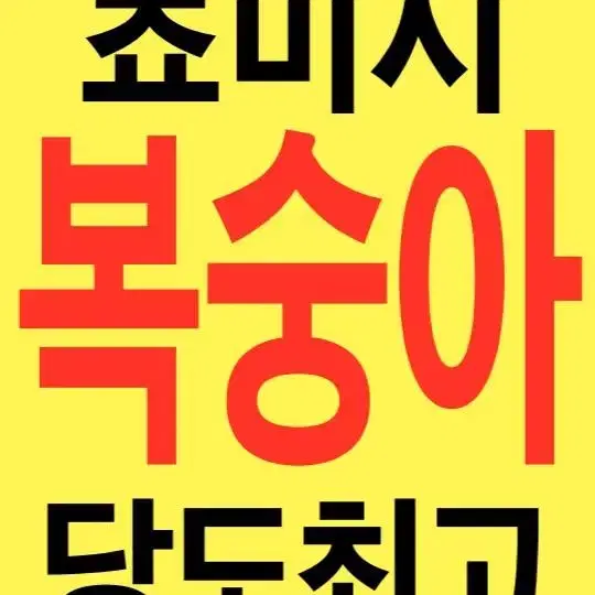 찌라시 도안 상시 커미션