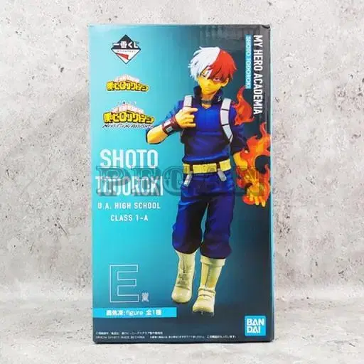 My Hero Academia Tororoki Shoto First Kokubok E Award