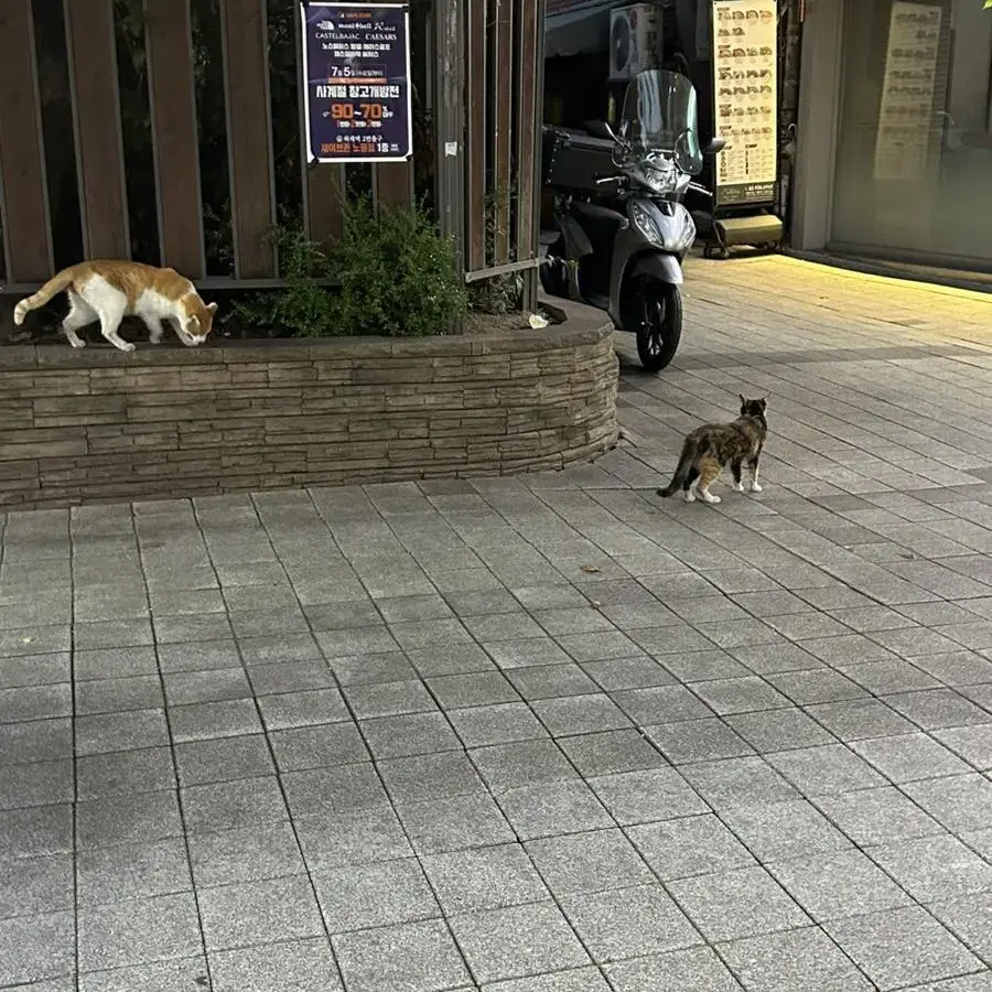 시대인재 생명 엣지 사요ㅠㅠㅠㅠ