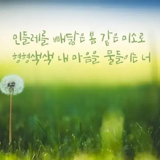 최애 케이팝 커플 이름시 N행시 작업