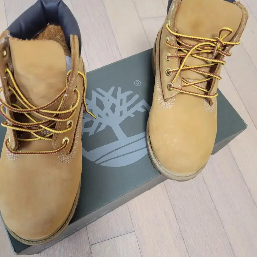 timberland 팀버랜드 키즈 205