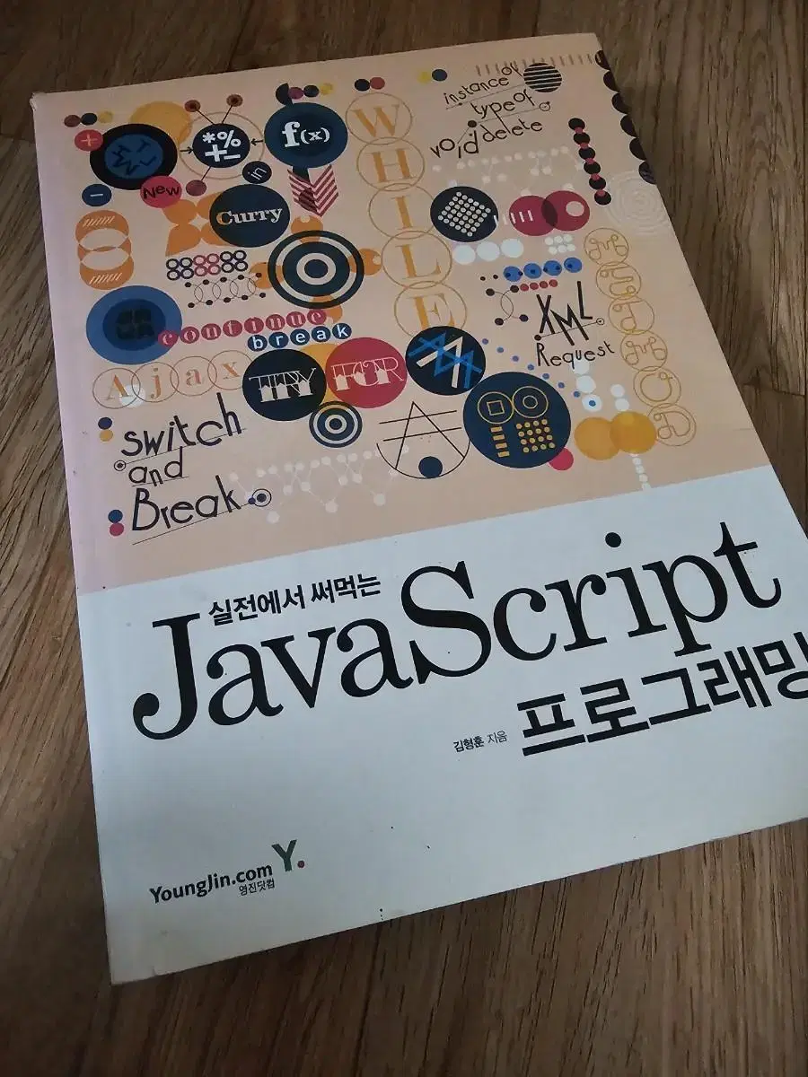 실전에서 써먹는 javascript 프로그래밍