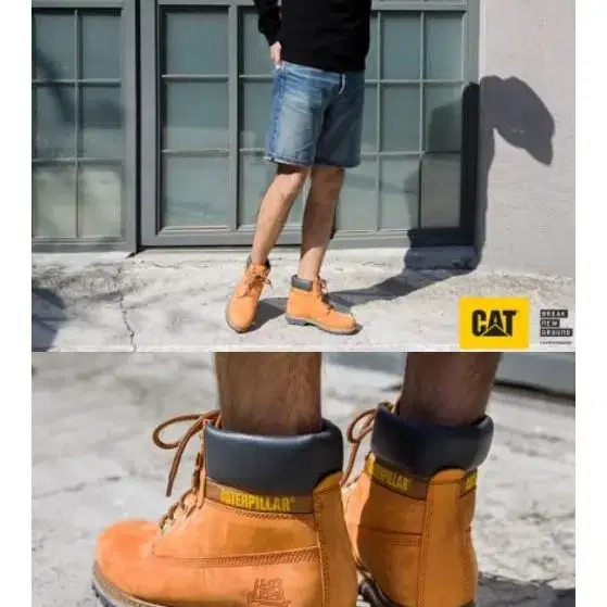 Cat Footwear Korea SNAP 워커