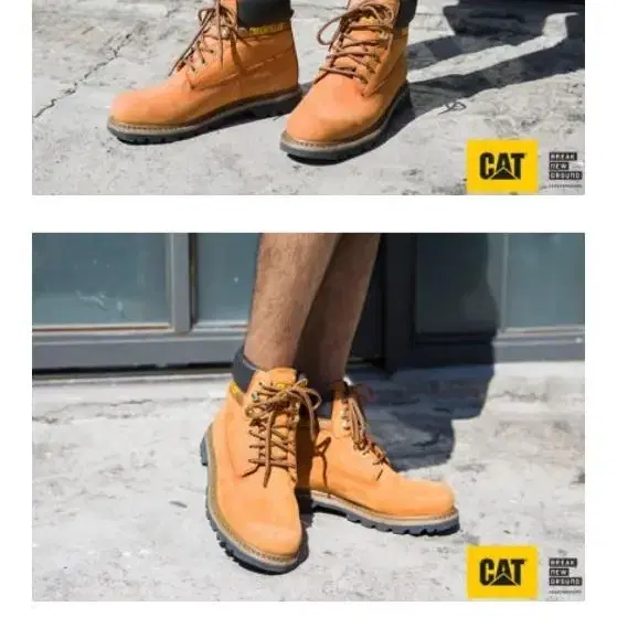 Cat Footwear Korea SNAP 워커