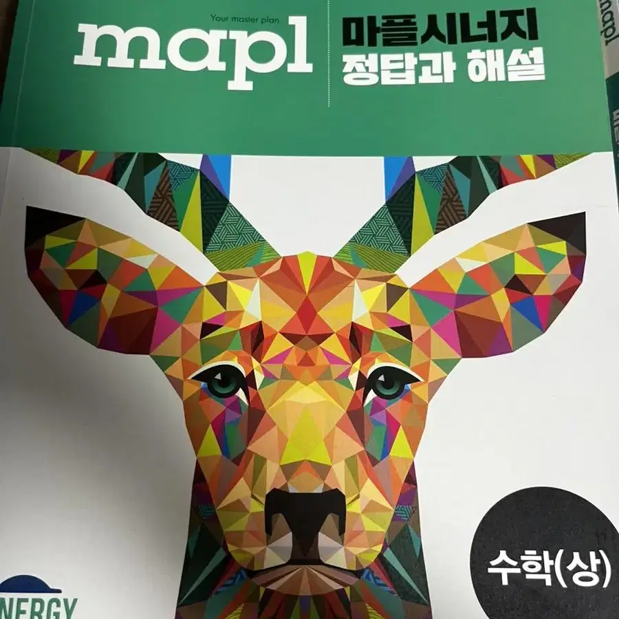 (maple)마플시너지 수학(상)