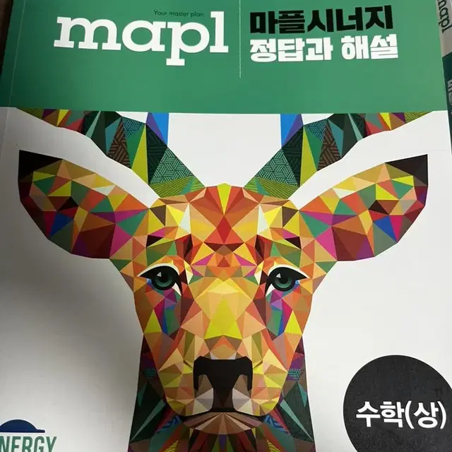 (maple)마플시너지 수학(상)