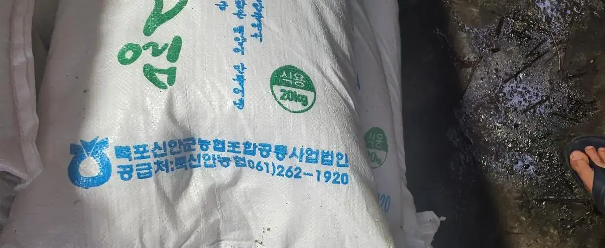 천일염 20kg 22년산 소금 판매합니다