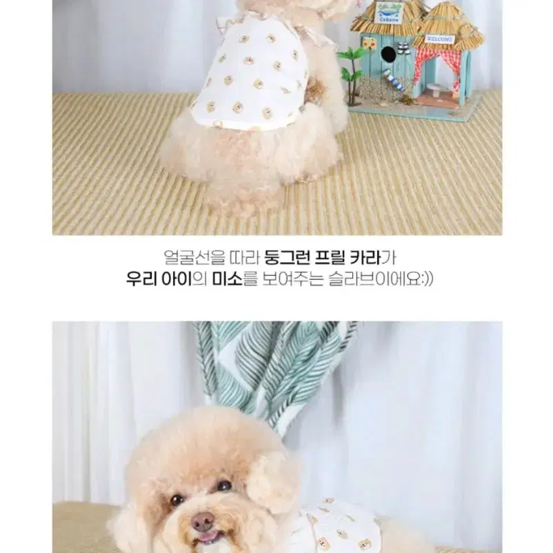 강아지 의류 여름새옷 xl,2xl  9000씩 판매합니다