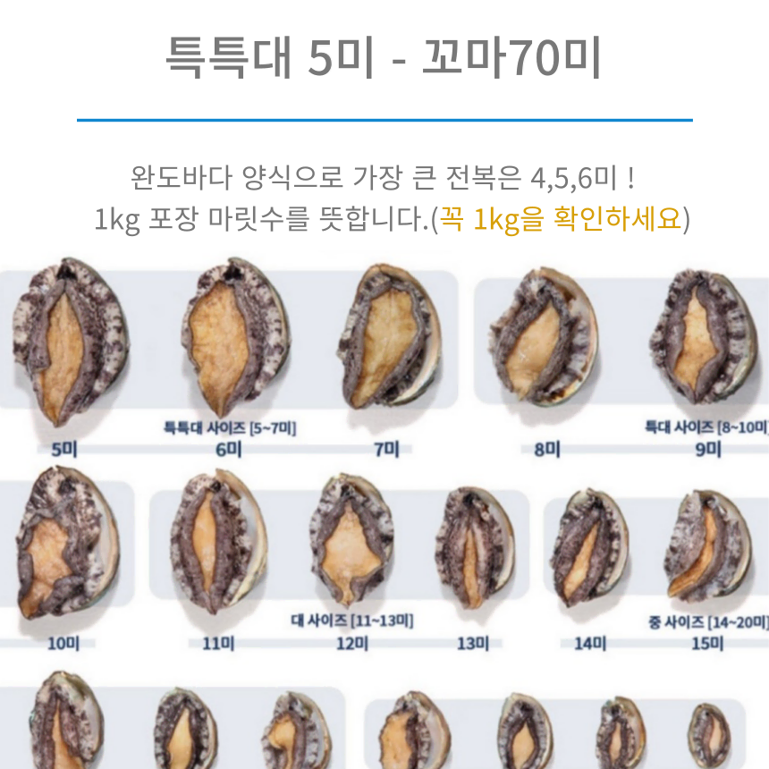 [완도 활 전복] 20-23미 1kg (소) 전복찜,구이, 찌게용