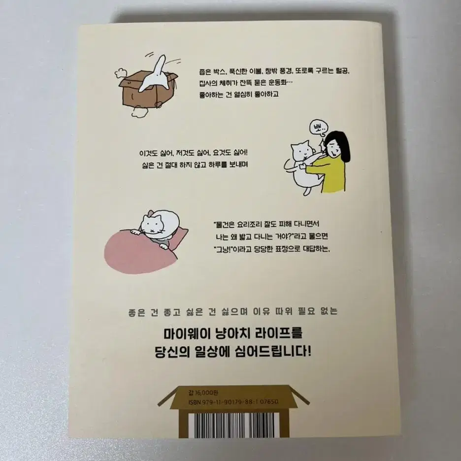 고양이 단편 만화