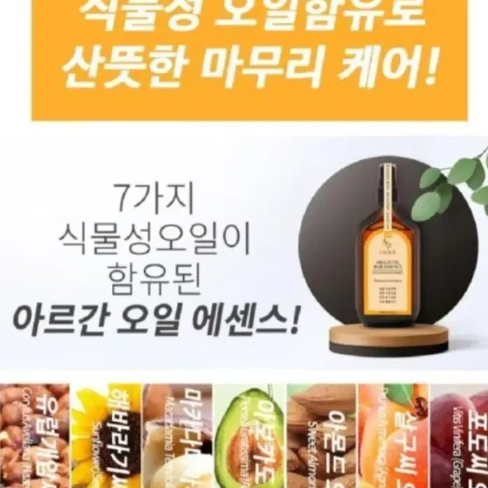 에스티크로체헤어에센스 인터넷가14만원짜리 무료배송 23000원