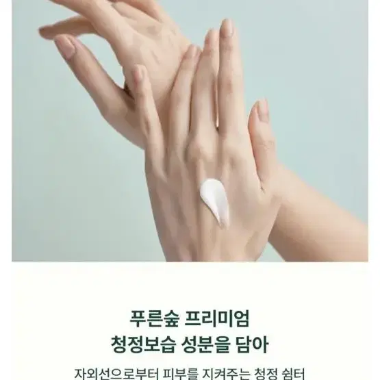 그린핑거 포레스트 워터리 에센스 선크림 SPF50+ PA++++