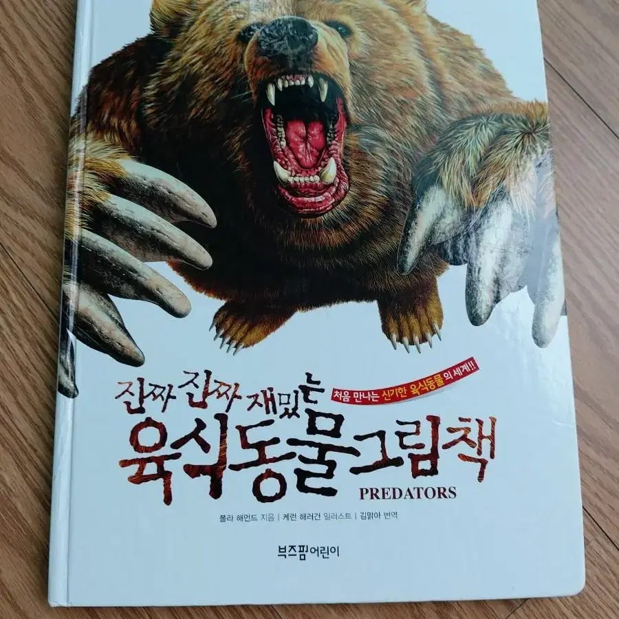 육식동물그림책