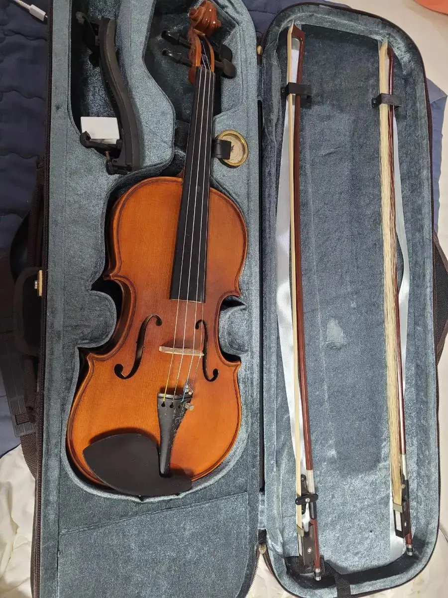 Full-size violin