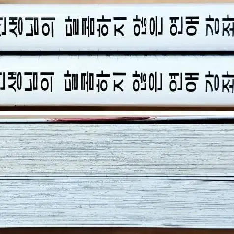 (무배) 시모츠키 선생님의 달콤하지 않은 연애 강좌 아유코 백작과 요정