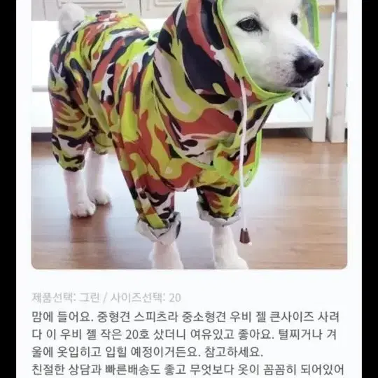 강아지우비방수옷 그린