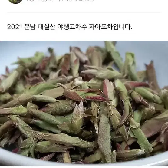 야생 자아포차