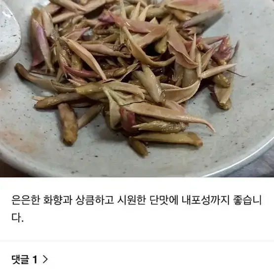 야생 자아포차