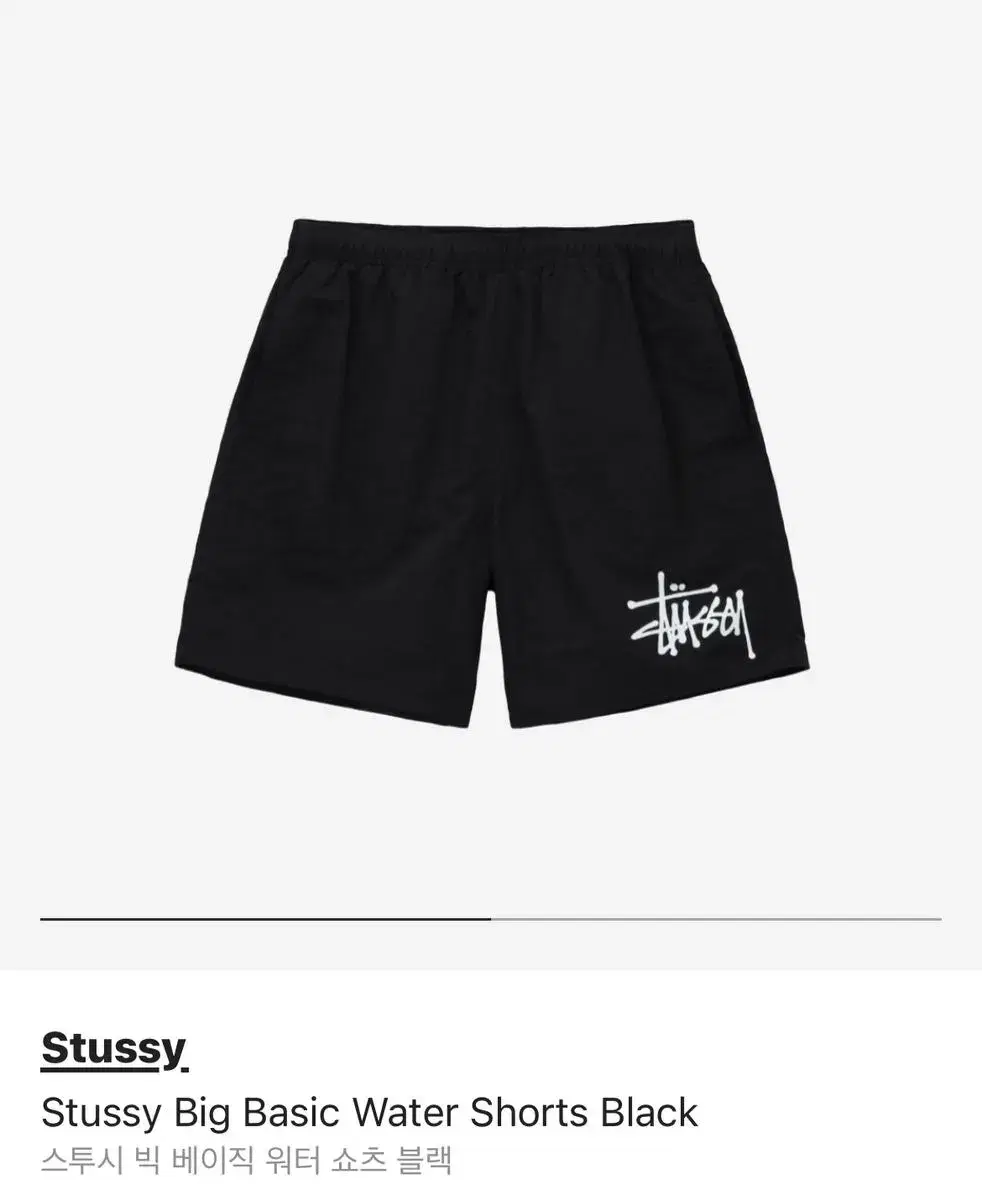 Stussy Water Shorts M