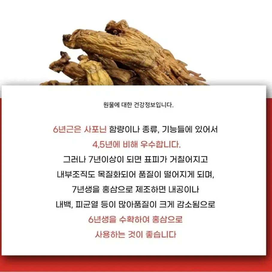 정삼원 호장근 스틱 추석 선물 강추