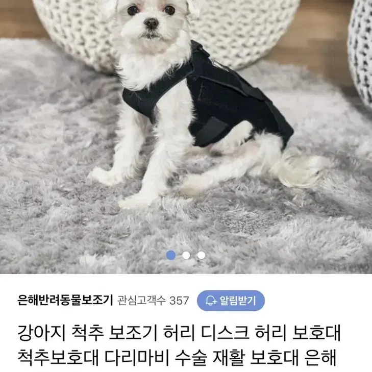 강아지 허리보호대