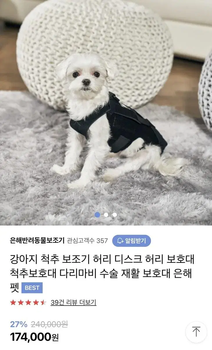 강아지 허리보호대