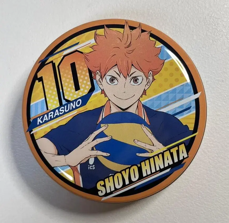 Haikyuu hinata Shoyo Petite Can Mini Tin Case