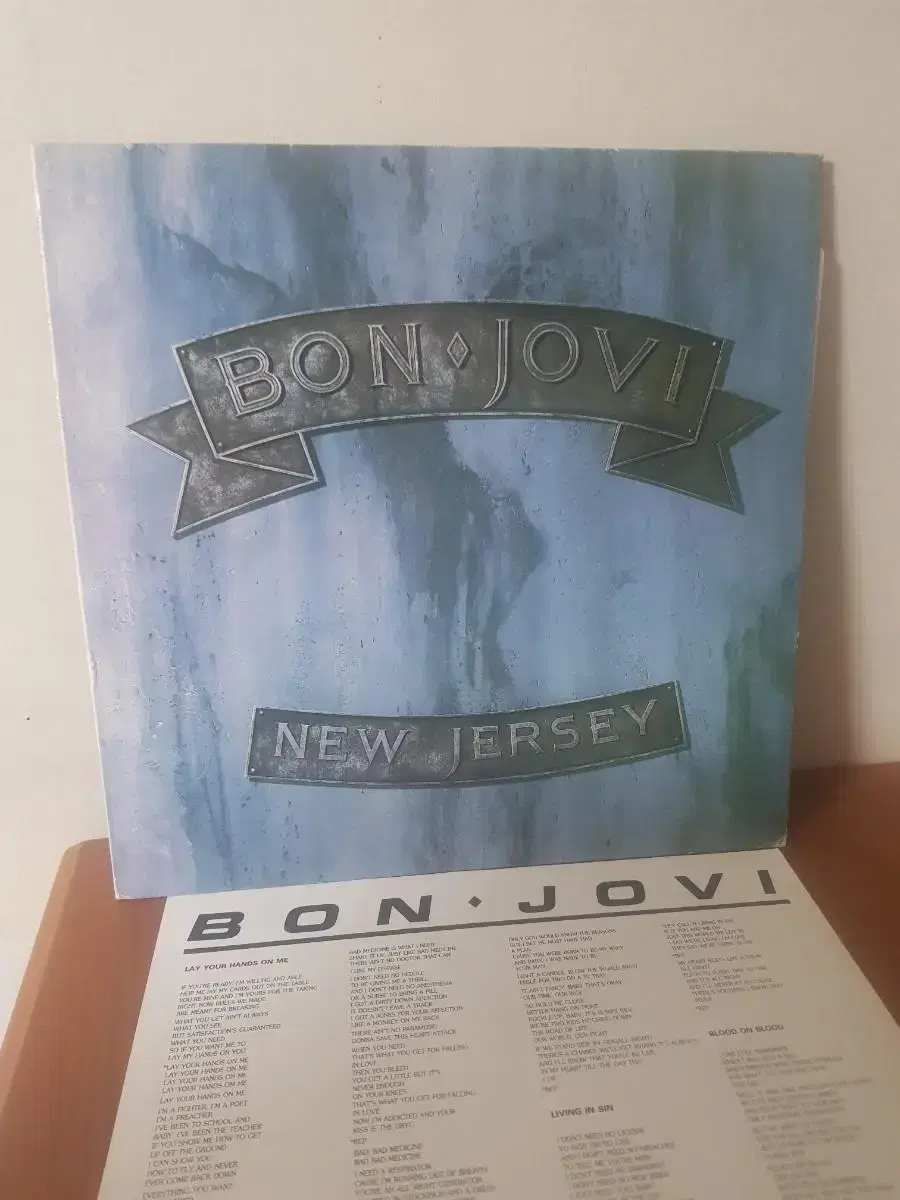 본조비 뉴저지 Bon Jovi New Jersey 바이닐 vinyl 성음