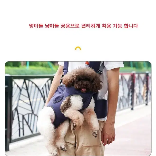 반려동물  강아지 띠 포대기