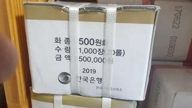 2019년 500주관봉