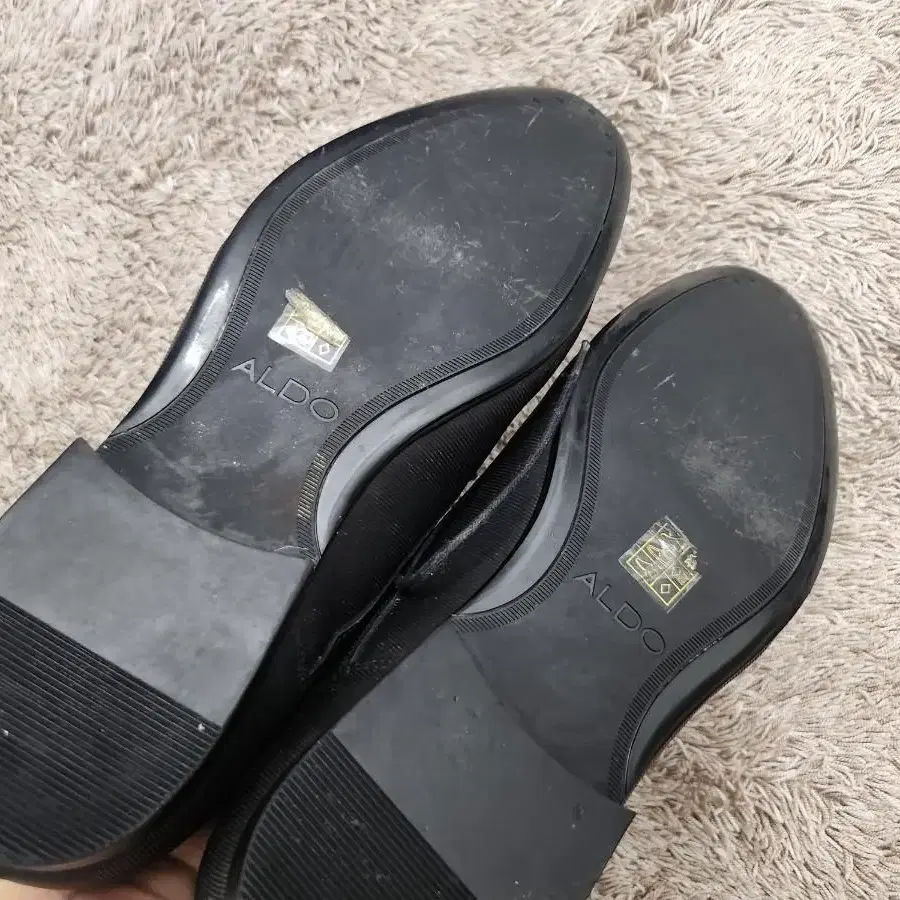 275 ALDO 구두