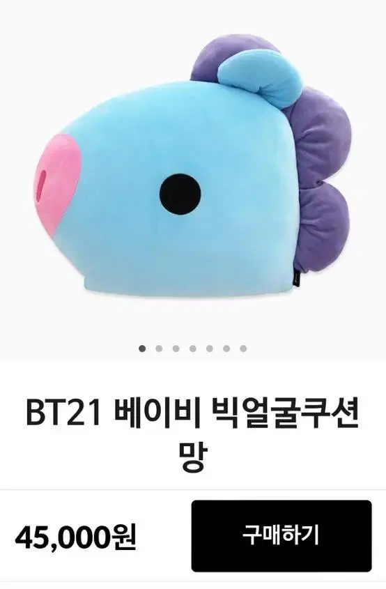 BT21 망이 / 쿠션/ 방탄소년단/ 제이홉 / 새상품