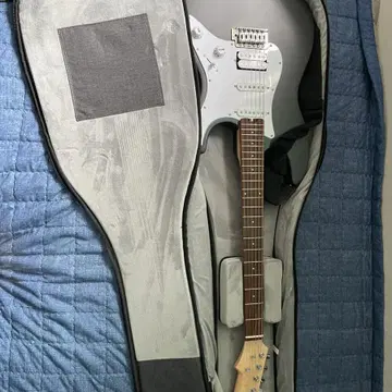 ギター HEX E100 GRAY Hex E100 S/SG Slate Gray Stratocaster