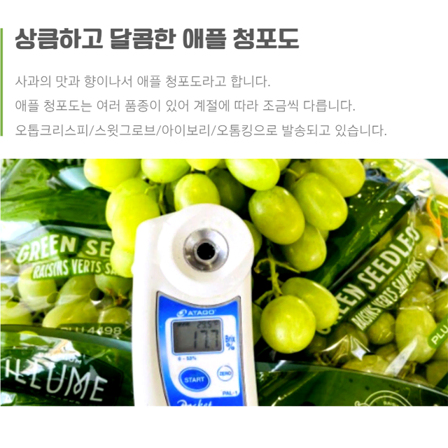 [고군명가] 아삭아삭 고당도 씨가없어 껍질째 먹는 애플 청포도 1kg