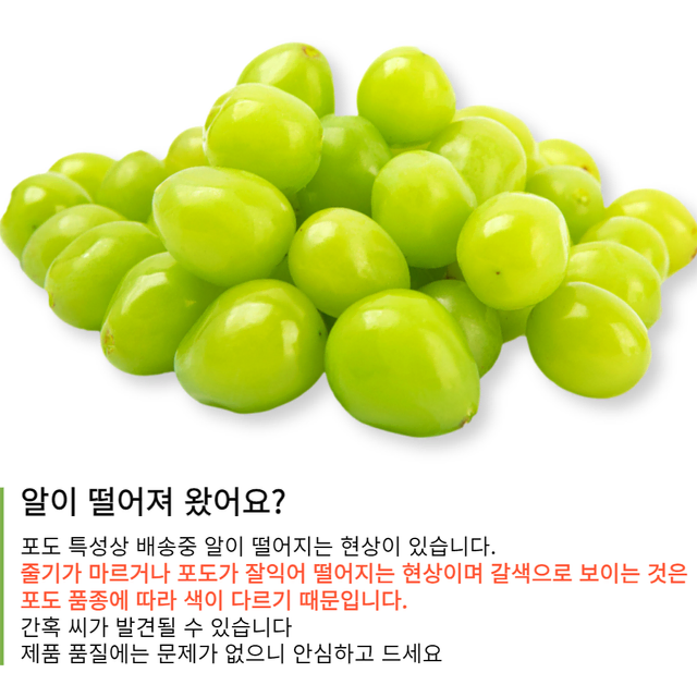 [고군명가] 아삭아삭 고당도 씨가없어 껍질째 먹는 애플 청포도 1kg