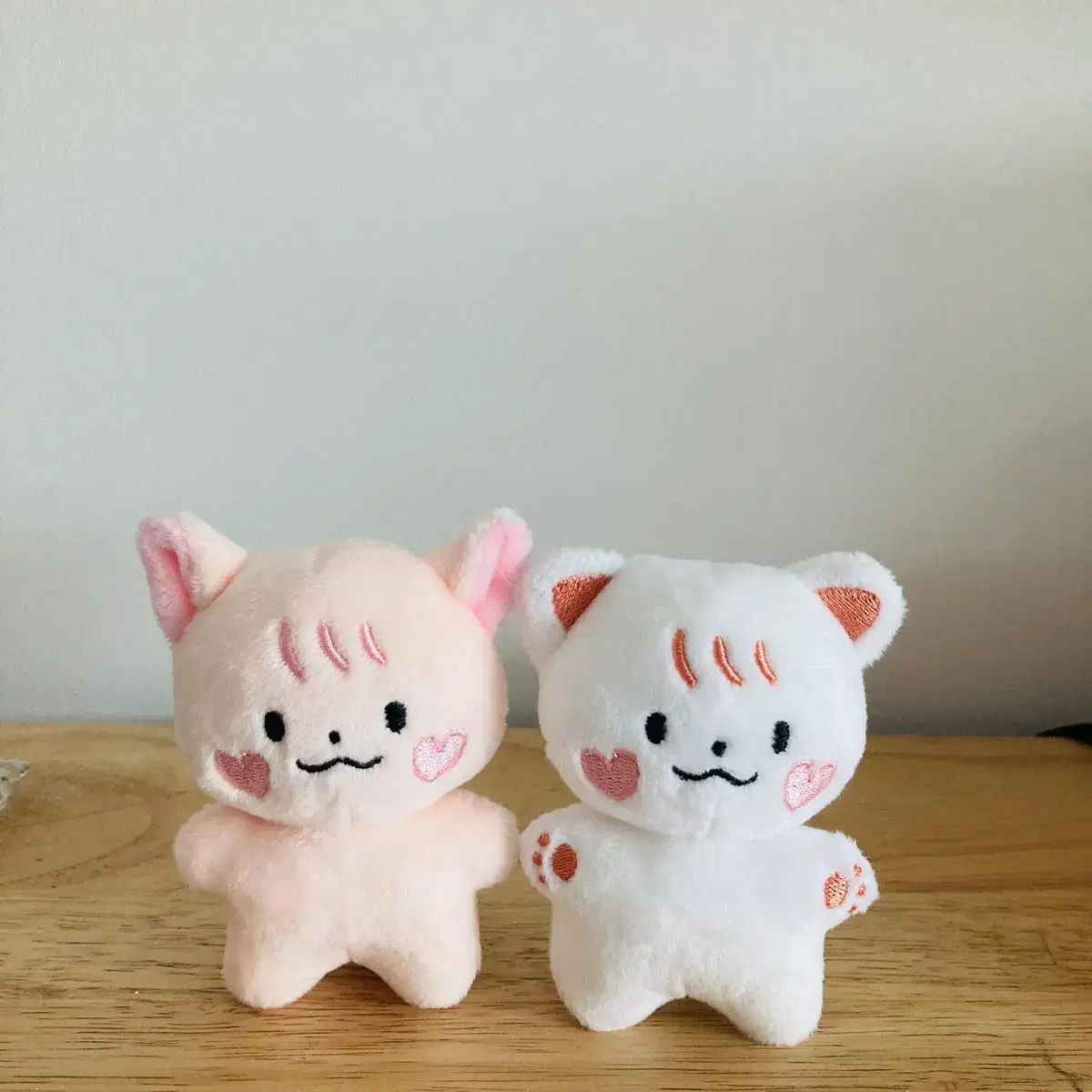 쭌링이 쭌냉이