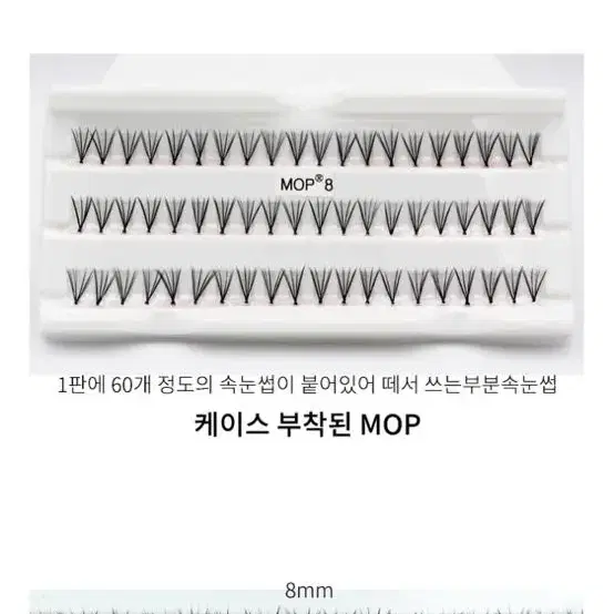 8mm 가닥속눈썹 10개