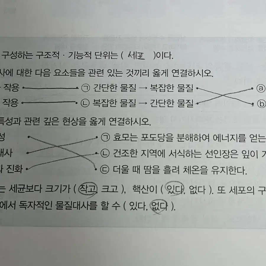 오투 생명과학(세일