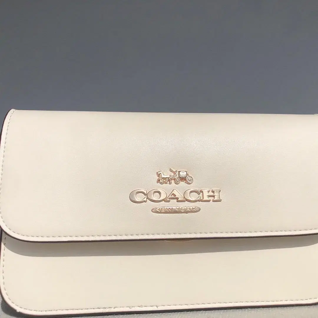 coach CA174   Coach Brynn