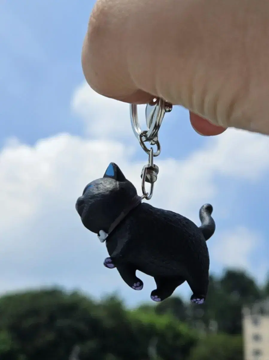 Peanut Cat keyring and Figures