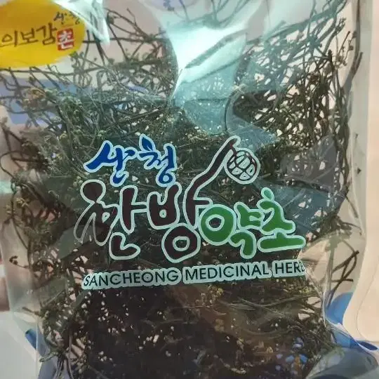 산청 지리산 자연산 산고사리