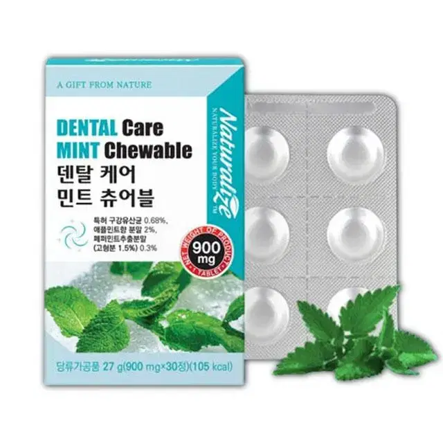 구강유산균 덴탈 케어 민트 츄어블 (900mg x 30정)