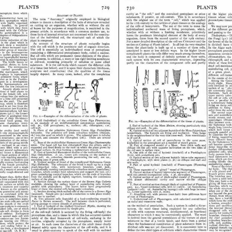 브리태니커 백과사전 (1910~1922년) - USB에 담겨있어요