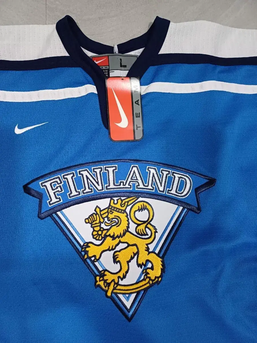 (New Rare)Nike Hockey Jersey L