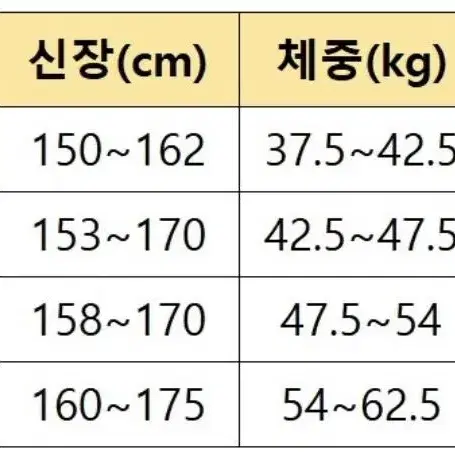 셔링 원피스 수영복 블랙(L)