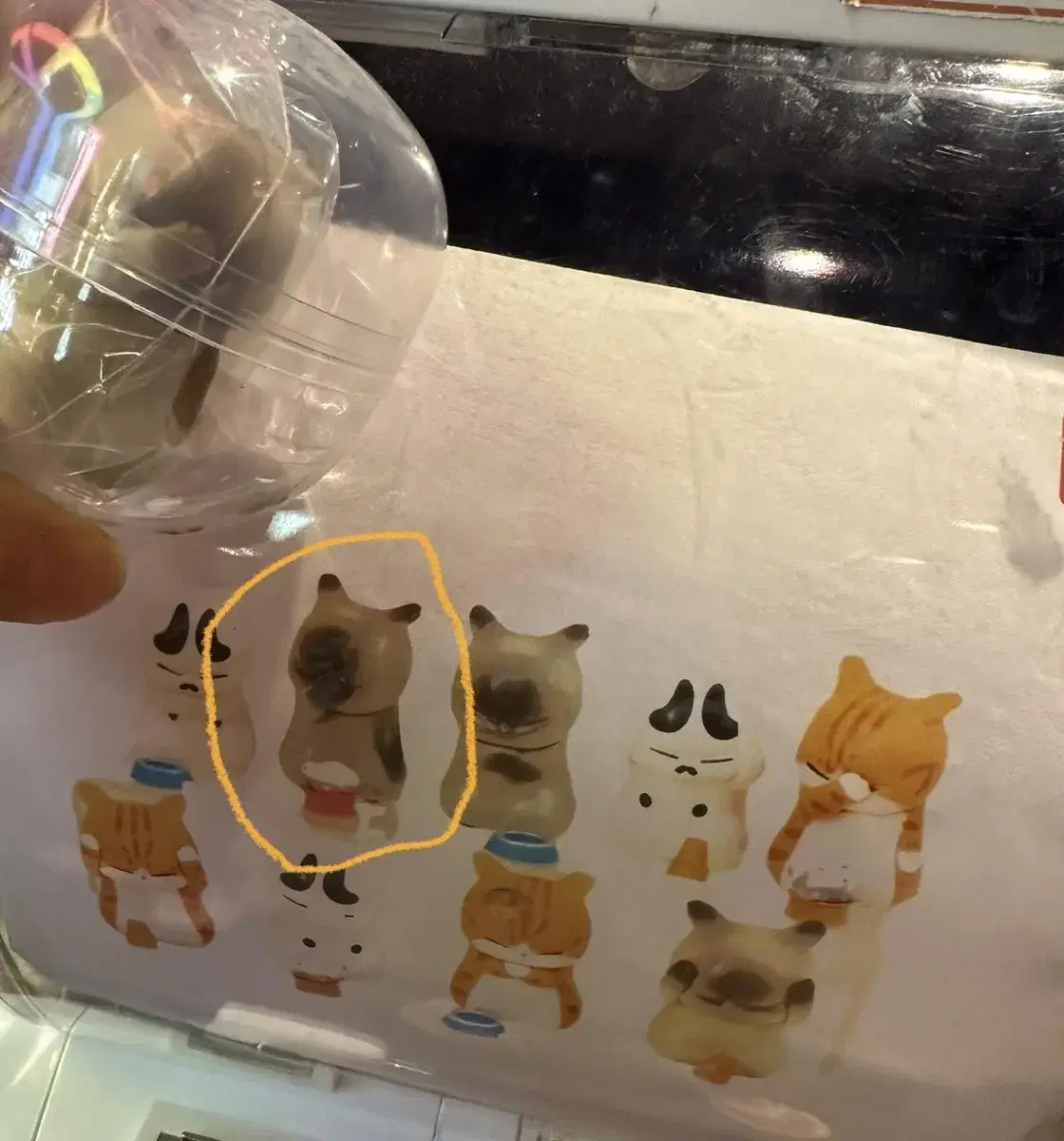 Cat Figure Gacha Overseas